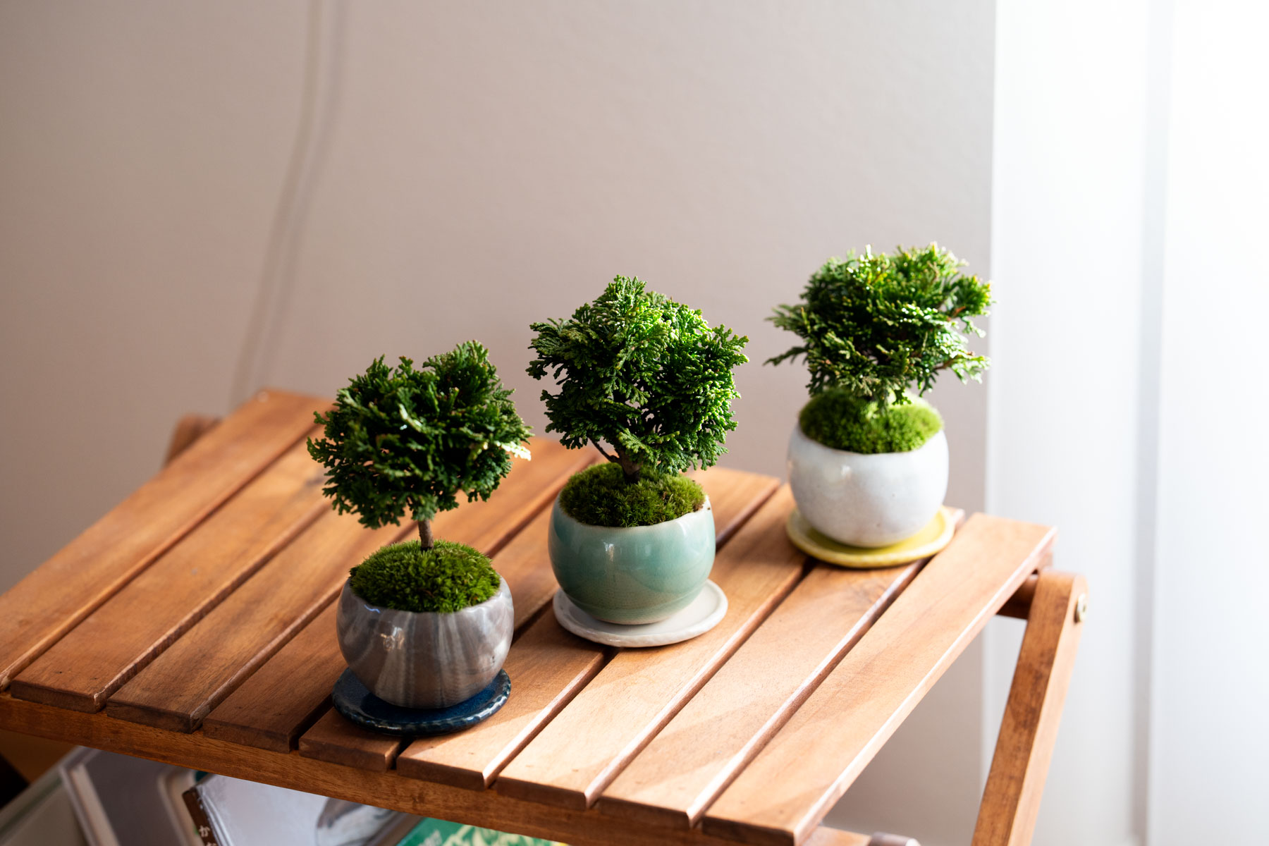 津山ヒノキ｜マーブルのうつわ【受け皿セット】